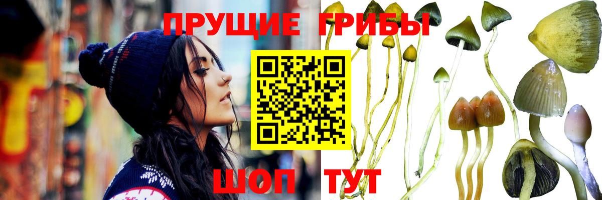 Псилоцибиновые грибы Magic Shrooms Сыктывкар