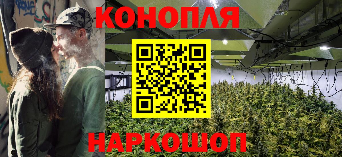 Бошки марихуана планчик  Вход с VPN  Канабис White Widow  Сыктывкар  Канабис Amnesia 